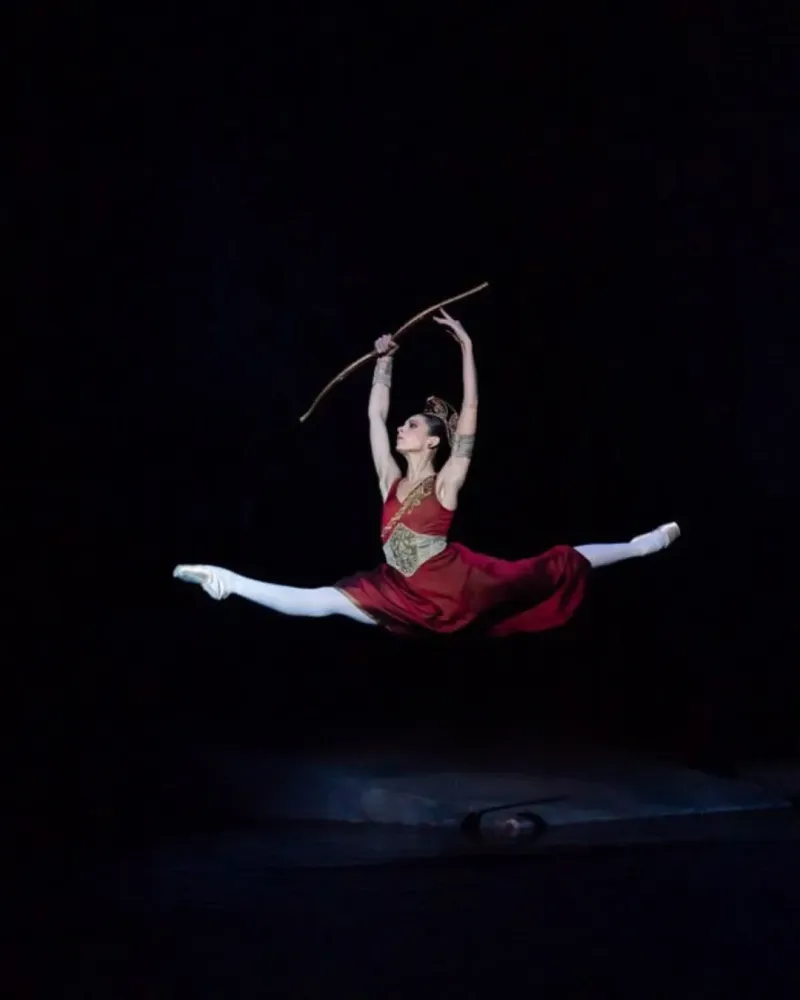 spectacle de danse (8)